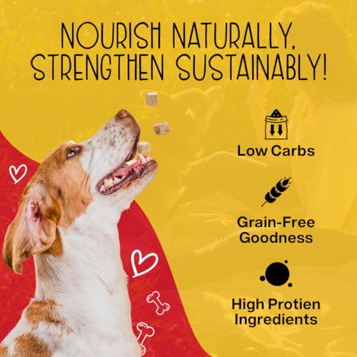 Premium Chewmasters Dog Treats - Shop Today