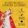 Premium Chewmasters Dog Treats - Shop Today