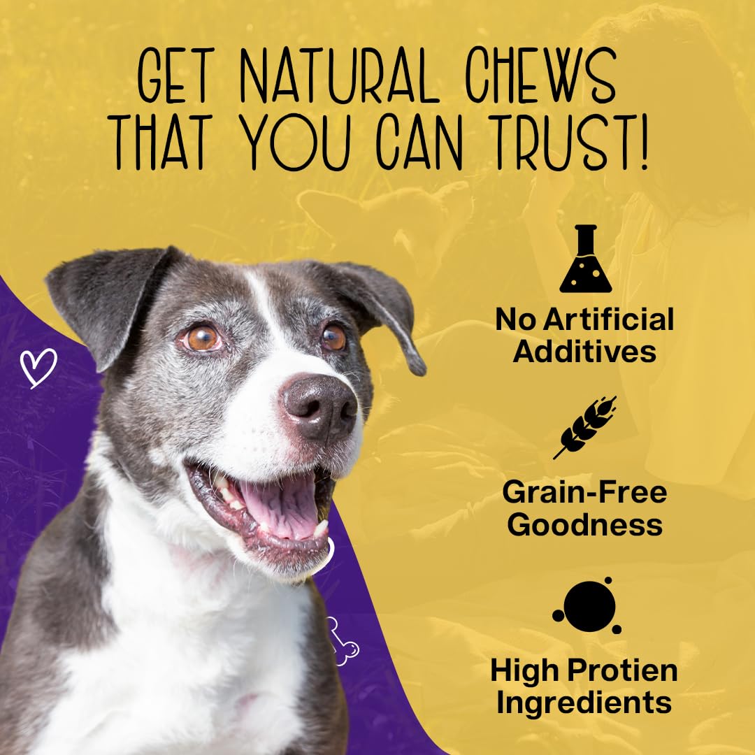 Premium Chewmasters Dog Treats - Shop Today
