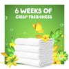 Quality Gain flings! Laundry Detergent Soap Pacs - Best Price Guaranteed