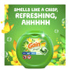 Quality Gain flings! Laundry Detergent Soap Pacs - Best Price Guaranteed