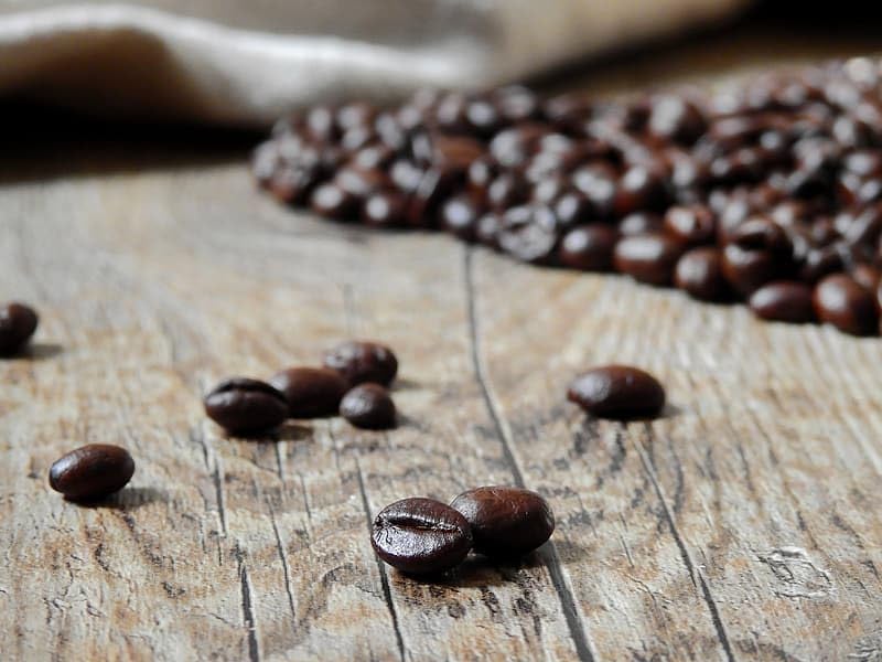 Premium San Francisco Bay French Roast - Best Price Guaranteed