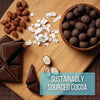 Premium Edward Marc Chocolatier Covered Almonds - Shop Today