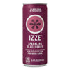 Premium IZZE Sparkling Juice 4 Flavor Variety Pack, 8.4 Fl Oz (Pack of 24)