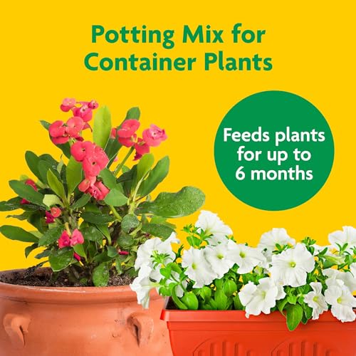 Quality Miracle-Gro Potting Mix, For Container Plants, Flowers, Vegetables, Shrubs, Annuals, Perennials, Feeds up to 6 Months, 8 qt., 2-Pack