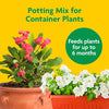 Quality Miracle-Gro Potting Mix, For Container Plants, Flowers, Vegetables, Shrubs, Annuals, Perennials, Feeds up to 6 Months, 8 qt., 2-Pack
