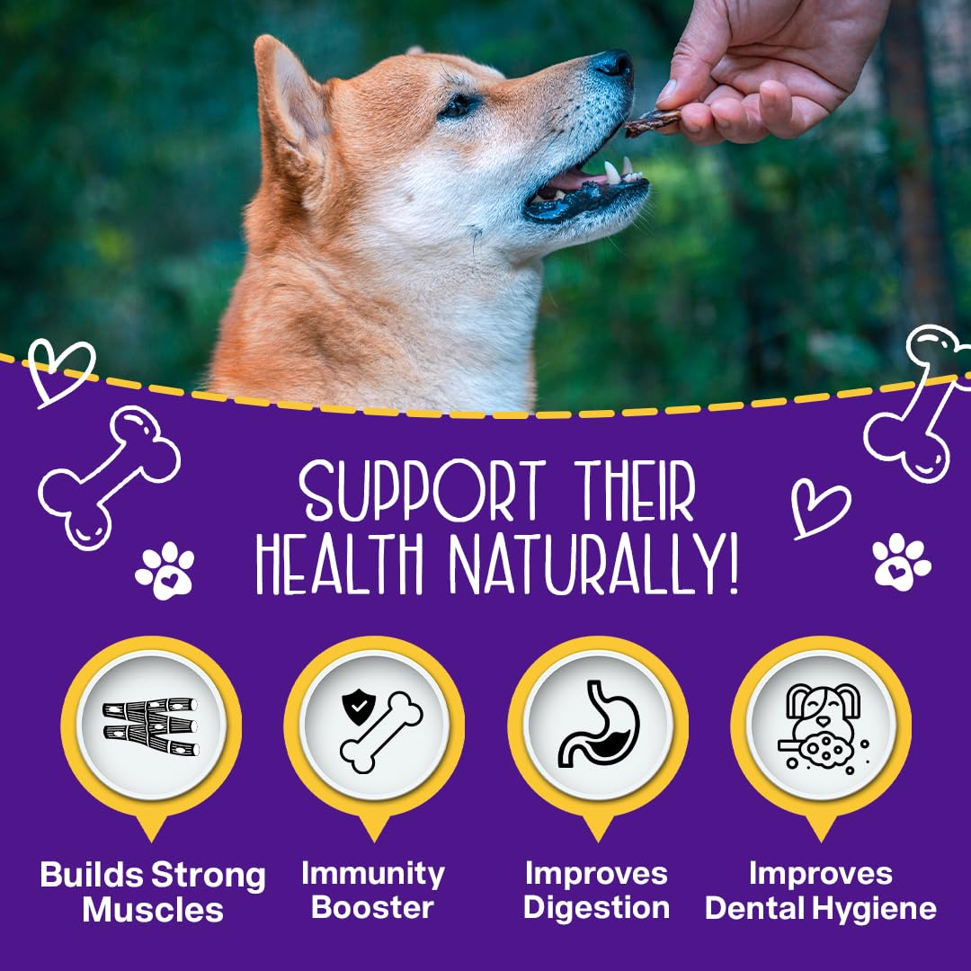 Premium Chewmasters Dog Treats - Shop Today