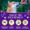Premium Chewmasters Dog Treats - Shop Today