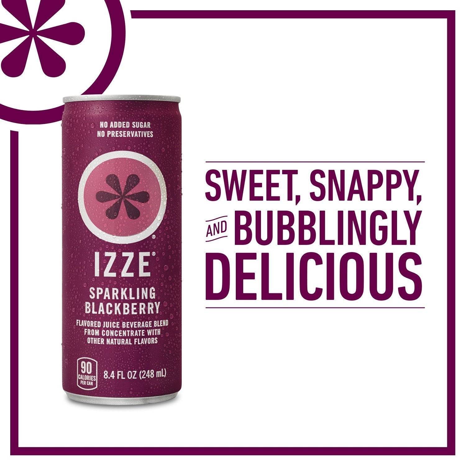 Premium IZZE Sparkling Juice 4 Flavor Variety Pack, 8.4 Fl Oz (Pack of 24)