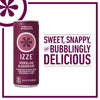 Premium IZZE Sparkling Juice 4 Flavor Variety Pack, 8.4 Fl Oz (Pack of 24)