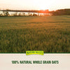 Premium Nature Valley Crunchy Granola Bars Oats 'N Honey - 98 Bars Of 2 bar Pouches of 49ct-1.49oz