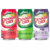 Premium Canada Dry Winter Variety Pack, 12 Ounce (36 Pack) - Limited Time Offer