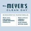 Premium MRS. MEYER'S CLEAN DAY All-Purpose Cleaner Spray, Limited Edition Peppermint, 16 Fl. Oz
