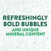Premium Perrier Carbonated Mineral Water - Best Price Guaranteed
