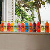 Quality Calypso JUICE_AND_JUICE_DRINK - Best Price Guaranteed