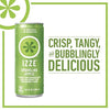 Premium IZZE Sparkling Juice 4 Flavor Variety Pack, 8.4 Fl Oz (Pack of 24)