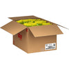Quality FUNYUNS Funyuns Rings Kosher - Buy Now & Save