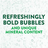 Premium Perrier Carbonated Mineral Water - Best Price Guaranteed