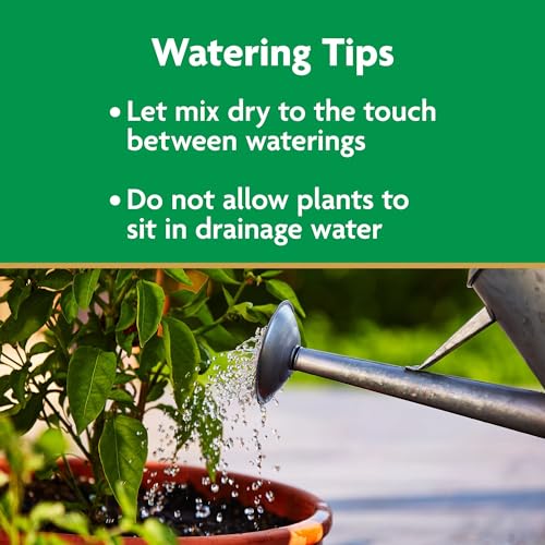 Quality Miracle-Gro Potting Mix, For Container Plants, Flowers, Vegetables, Shrubs, Annuals, Perennials, Feeds up to 6 Months, 8 qt., 2-Pack