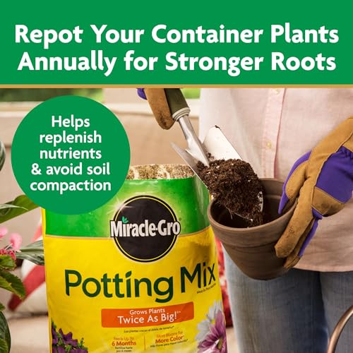 Quality Miracle-Gro Potting Mix, For Container Plants, Flowers, Vegetables, Shrubs, Annuals, Perennials, Feeds up to 6 Months, 8 qt., 2-Pack
