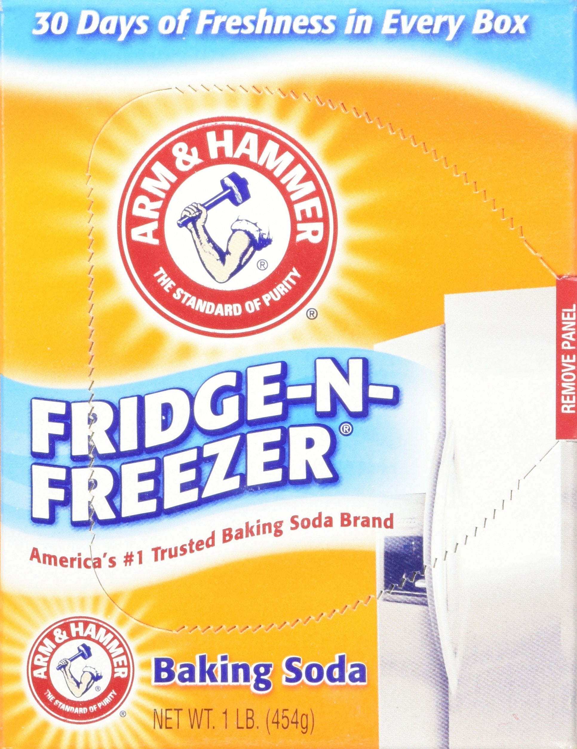 Premium Arm & Hammer Fridge-N-Freezer Baking Soda Odor Absorber, 14 Ounces (Pack of 6)