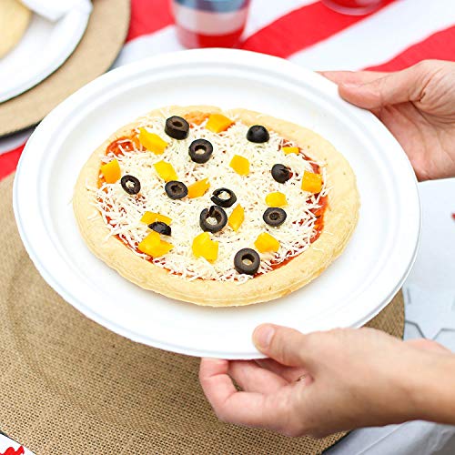 Quality Chinet Chinet 10 3/8" Paper Dinner Plates (165Count),, ()