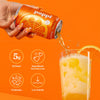 Premium poppi Prebiotic Soda 12 Fl Oz - Limited Time Offer