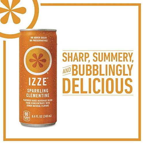 Premium IZZE Sparkling Juice 4 Flavor Variety Pack, 8.4 Fl Oz (Pack of 24)