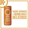 Premium IZZE Sparkling Juice 4 Flavor Variety Pack, 8.4 Fl Oz (Pack of 24)
