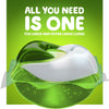 Quality Gain flings! Laundry Detergent Soap Pacs - Best Price Guaranteed