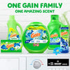 Quality Gain flings! Laundry Detergent Soap Pacs - Best Price Guaranteed