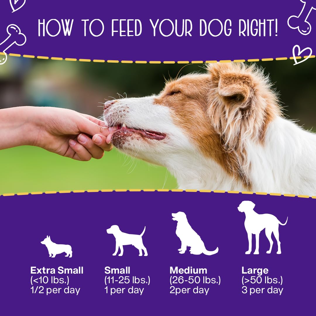 Premium Chewmasters Dog Treats - Shop Today