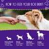 Premium Chewmasters Dog Treats - Shop Today