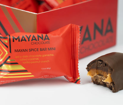 Mayan Spice Bar