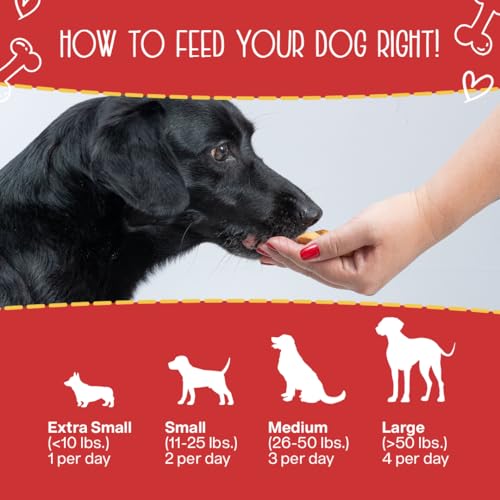 Premium Chewmasters Dog Treats - Shop Today