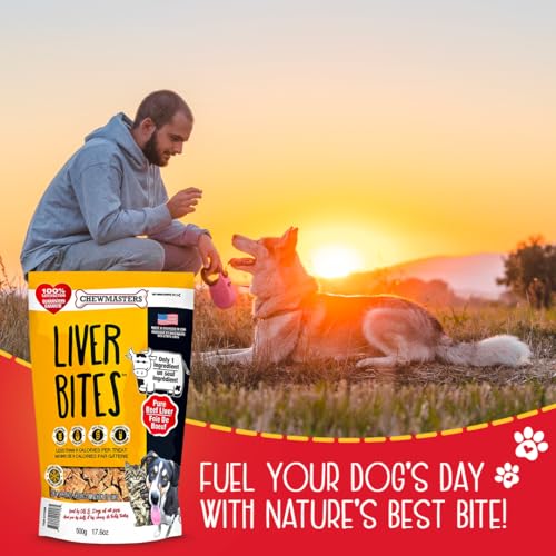 Premium Chewmasters Dog Treats - Shop Today