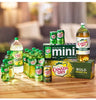 Premium Canada Dry Winter Variety Pack, 12 Ounce (36 Pack) - Limited Time Offer