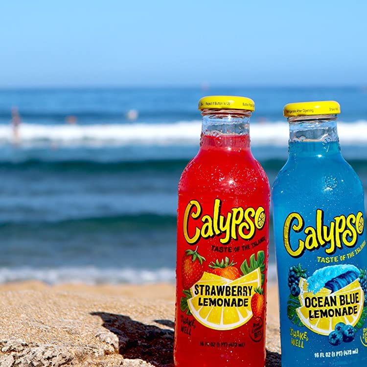 Premium Calypso Lemonades Made with Real Fruit and Natural Flavors | 8 Flavor Variety,16 Fl Oz (Pack of 8)