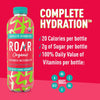 Premium ROAR Cucumber Watermelon Hydration Beverage 12 Pack, 18 FZ