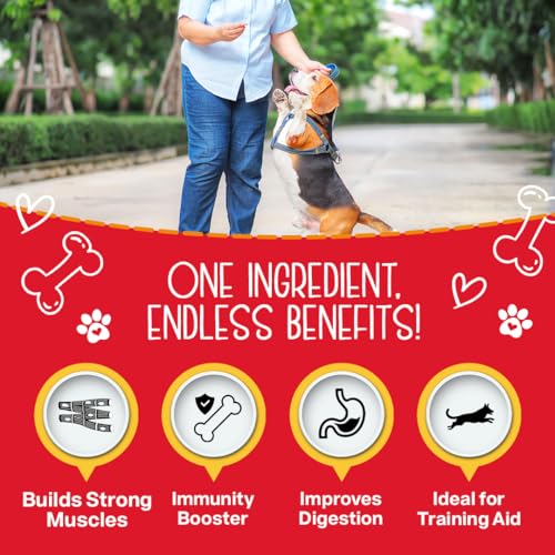 Premium Chewmasters Dog Treats - Shop Today